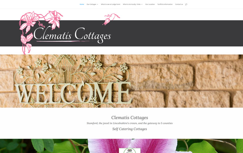 Clematis